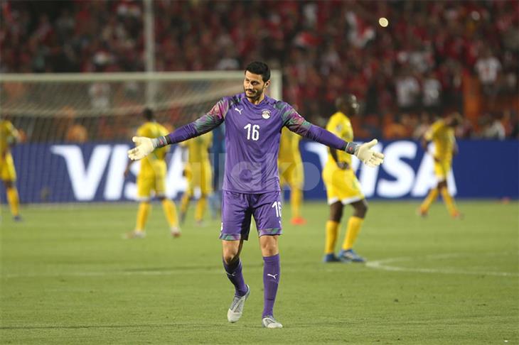 محمد الشناوي